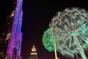 Dubai: privat dagstur på fransk