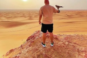 Dubai: privat dagstur på fransk