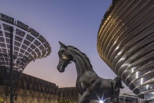 Dubaï : Billets d'entrée à l'Expo City