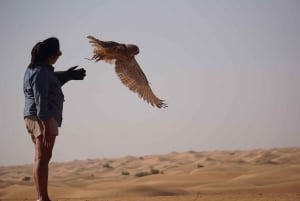 Dubai Falconry Safari