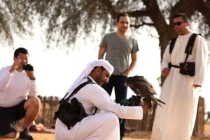 Safari de cetrería en Dubai