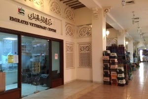 Safari de cetrería en Dubai