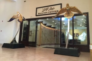 Safari de cetrería en Dubai