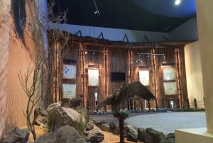 Safari de cetrería en Dubai