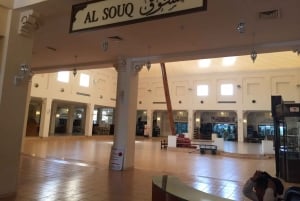 Safari de cetrería en Dubai