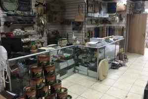 Safari de cetrería en Dubai