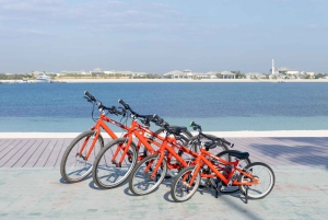 Dubái: aventura en bicicleta para toda la familia