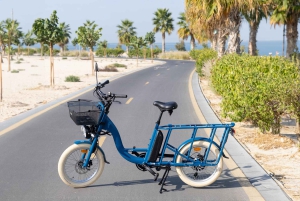 Dubái: aventura en bicicleta para toda la familia