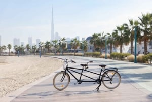 Dubaï : une aventure à vélo pour toute la famille