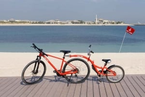 Dubaï : une aventure à vélo pour toute la famille