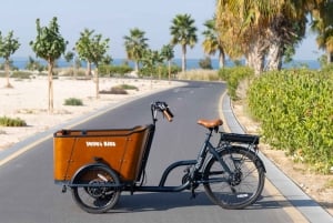 Dubaï : une aventure à vélo pour toute la famille