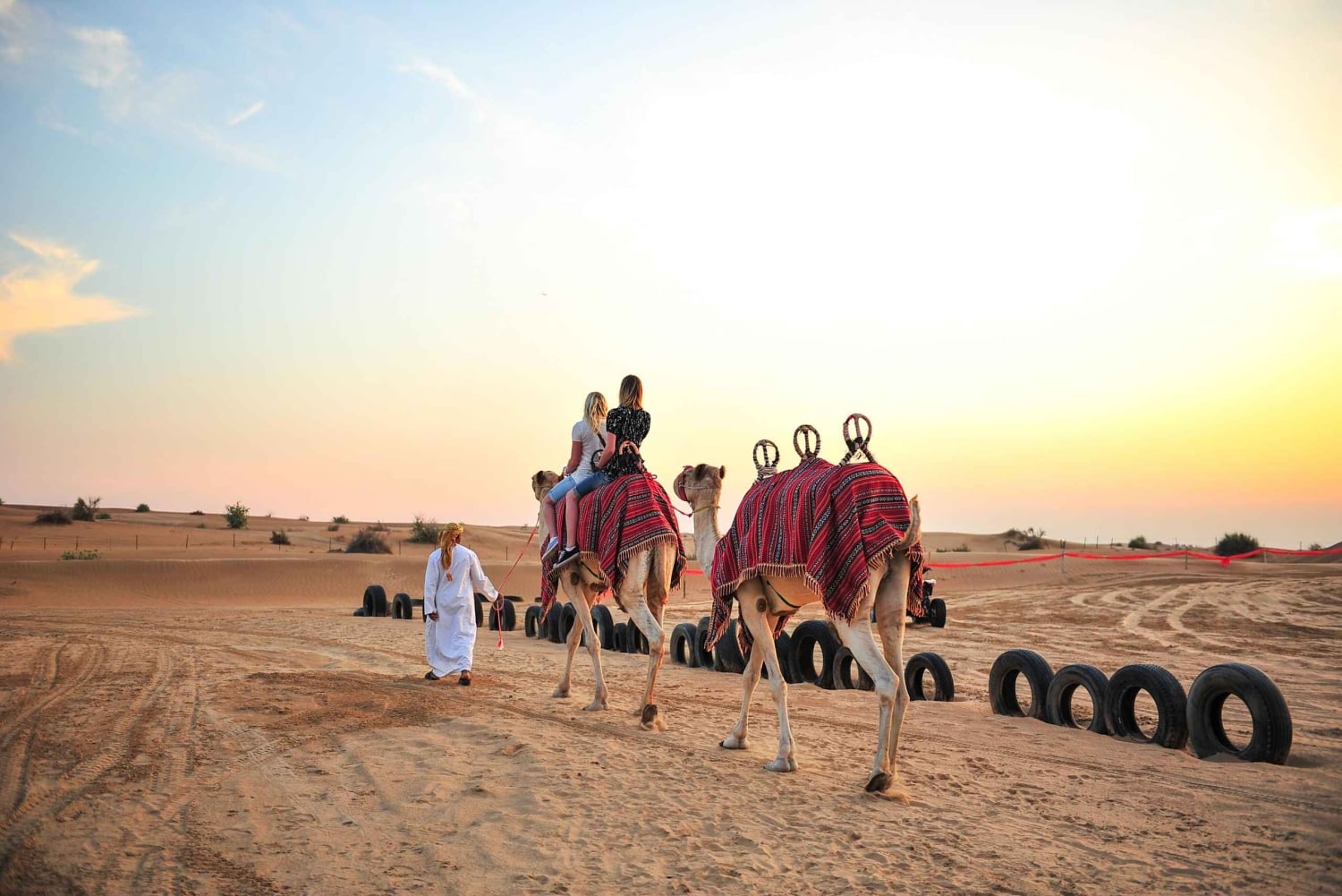 Dubaï : excursion familiale dans le désert et sanctuaire des flamants roses