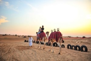 Dubaï : excursion familiale dans le désert et sanctuaire des flamants roses