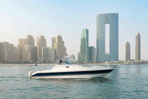 Dubai: Excursión de pesca con equipo y tripulación