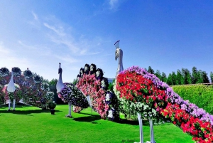 Dubai Flora and Fauna 4-Hour Tour
