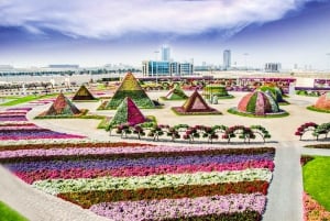 Dubai Flora og Fauna 4-timers tur