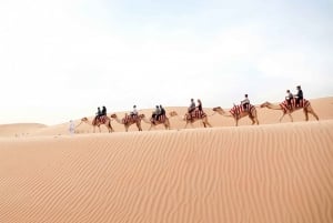 Dubai: Fossil Red Dunes & Camel Rock Safari with BBQ