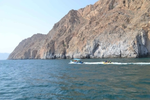 Dubaj: Całodniowe morskie safari w Musandam