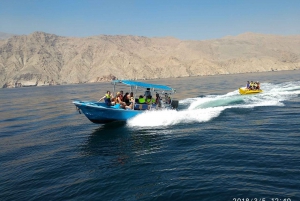Dubai: Full-Day Sea Safari to Musandam