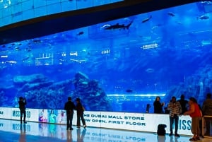 Heldags sightseeingtur från Abu Dhabi