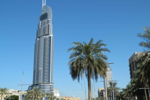 Dubai Full-Day Spanish Language Tour - City of Contrasts