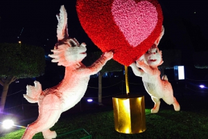 Dubai: Garden Glow Admission Ticket with Hotel Pickup