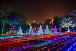 Dubai: Garden Glow Admission Ticket with Hotel Pickup