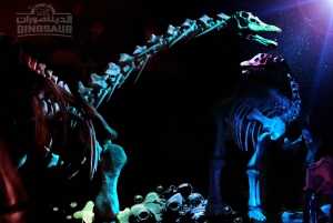 Dubai: Garden Glow Entry Ticket with Dinosaur Park Access