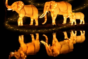 Dubai: Garden Glow Entry Ticket with Dinosaur Park Access