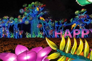 Dubai: Garden Glow Ticket de entrada con opción de Parque Mágico