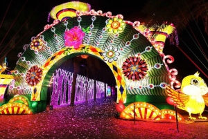 Dubai: Adgangsbillet til Garden Glow med Magic Park Option