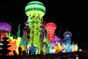 Dubai: Garden Glow entrébiljett med Magic Park-alternativ