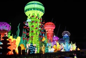 Dubai: Garden Glow Entry Ticket with Magic Park Option