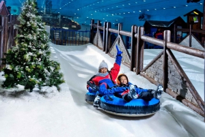 Dubai: Go City Explorer Pass - Choose 3 to 7 Attractions