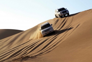 Dubai: Go City Explorer Pass - Choose 3 to 7 Attractions