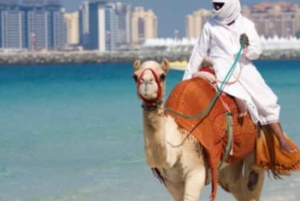 Dubai: Geführter Kamelritt am JBR Beach mit Blick auf die Skyline