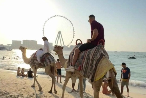 Dubai: Geführter Kamelritt am JBR Beach mit Blick auf die Skyline
