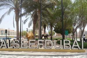 Dubai: Day or Night Dubai City Tour & Street food tasting