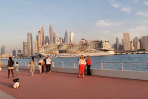 Dubai: Geführte Sightseeing-Tour und IMG-Themenpark-Ticket