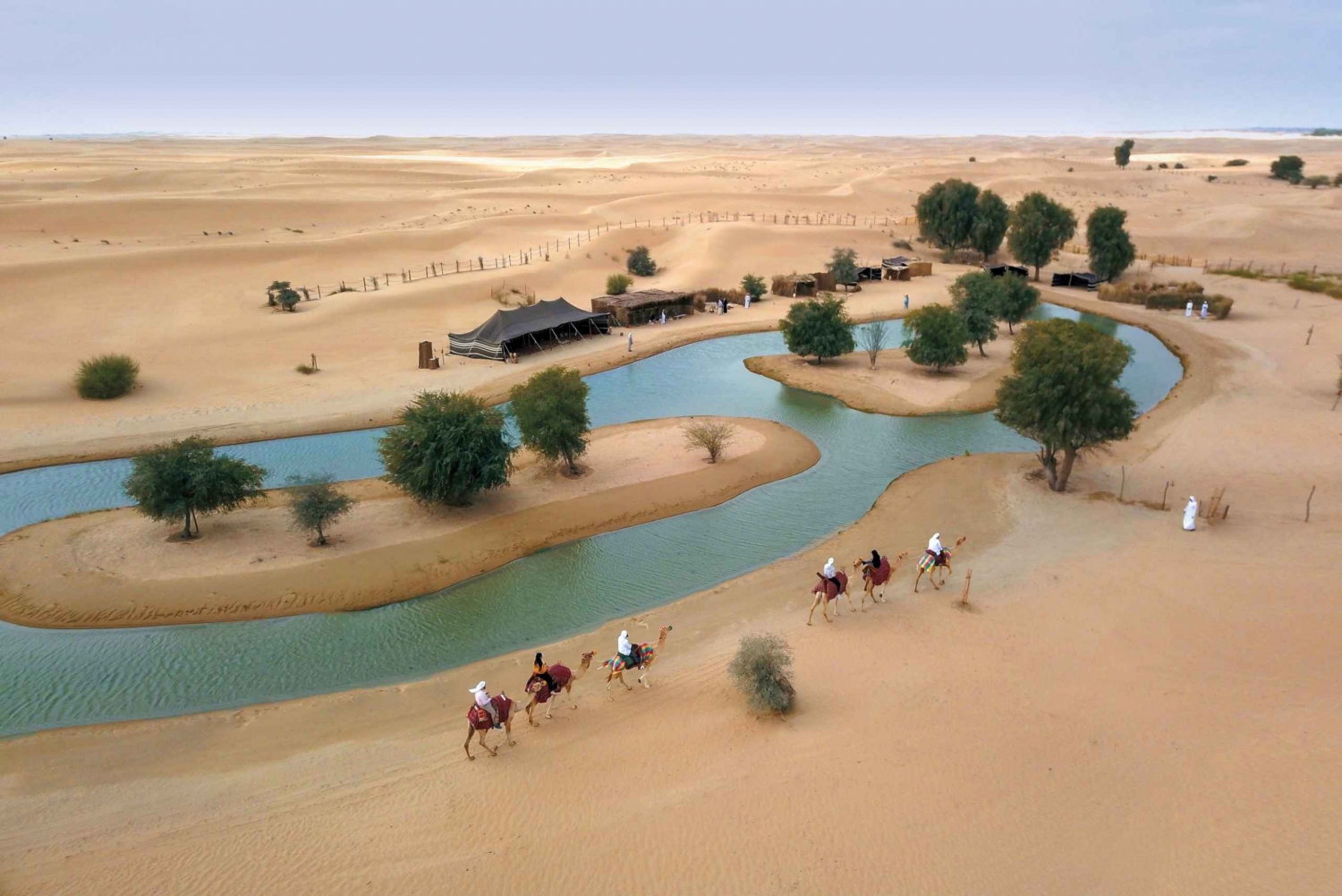 Dubai: Medio día de senderismo a camello con desayuno en Al Marmoom