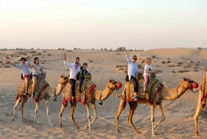 Dubai: Halvdags kamelvandring med frukost i Al Marmoom