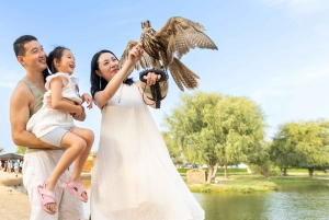 Dubai: Medio día de senderismo a camello con desayuno en Al Marmoom