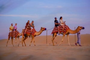 Halvdagssafari i ørkenen med kameltur og firhjuling