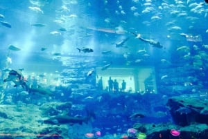Dubai: Premium Half-Day Dubai Highlights Tour small group