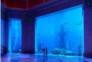 Dubai: Halbtagestour Sightseeingtour auf Englisch oder Deutsch