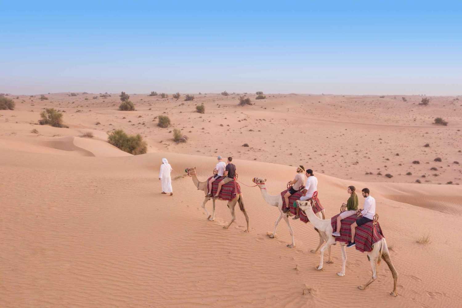 Dubai: Heritage Camel Desert Safari med traditionell middag
