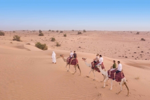 Dubai: Heritage Camel Desert Safari med traditionell middag