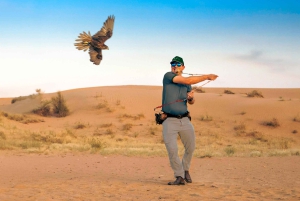 Dubaï : safari dans le désert avec nuitée et petit-déjeuner