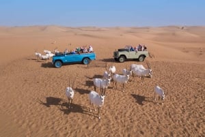 Dubaï : Circuit dans le désert en Land Rover avec dîner
