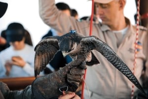 Dubaj: Nocna safari, lot balonem i śniadanie